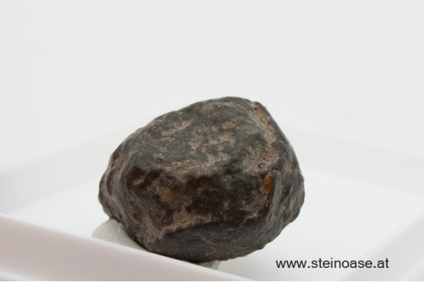 Meteorit / Steinmeteorit